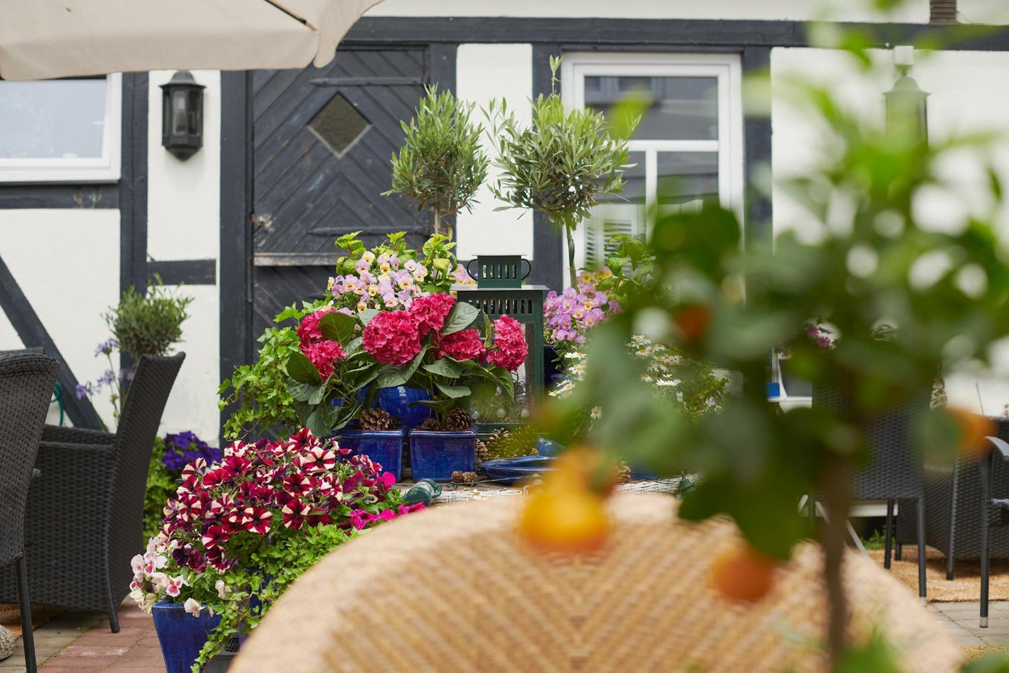 Hotell Baeckagarden Ystad Dış mekan fotoğraf