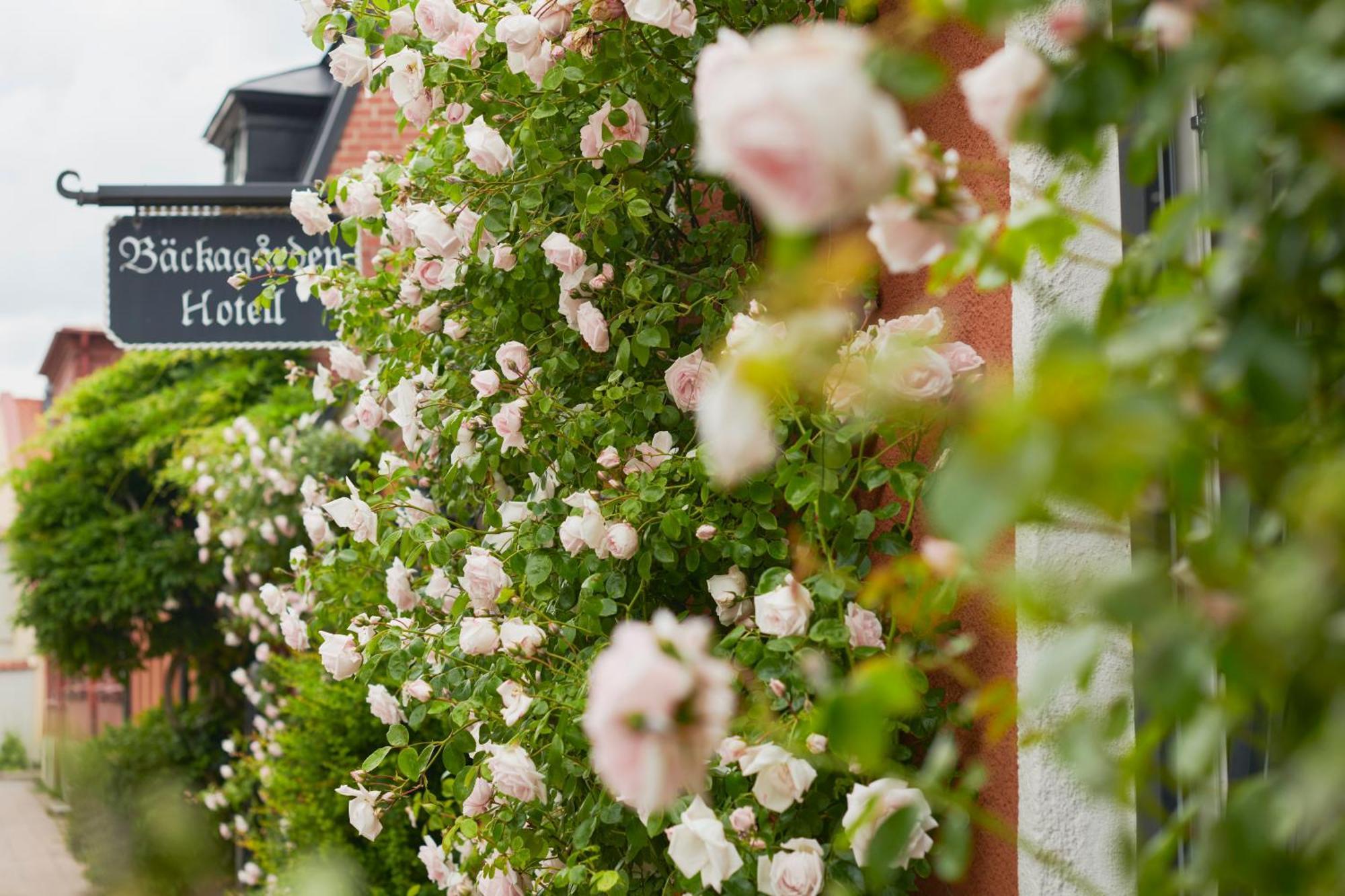 Hotell Baeckagarden Ystad Dış mekan fotoğraf